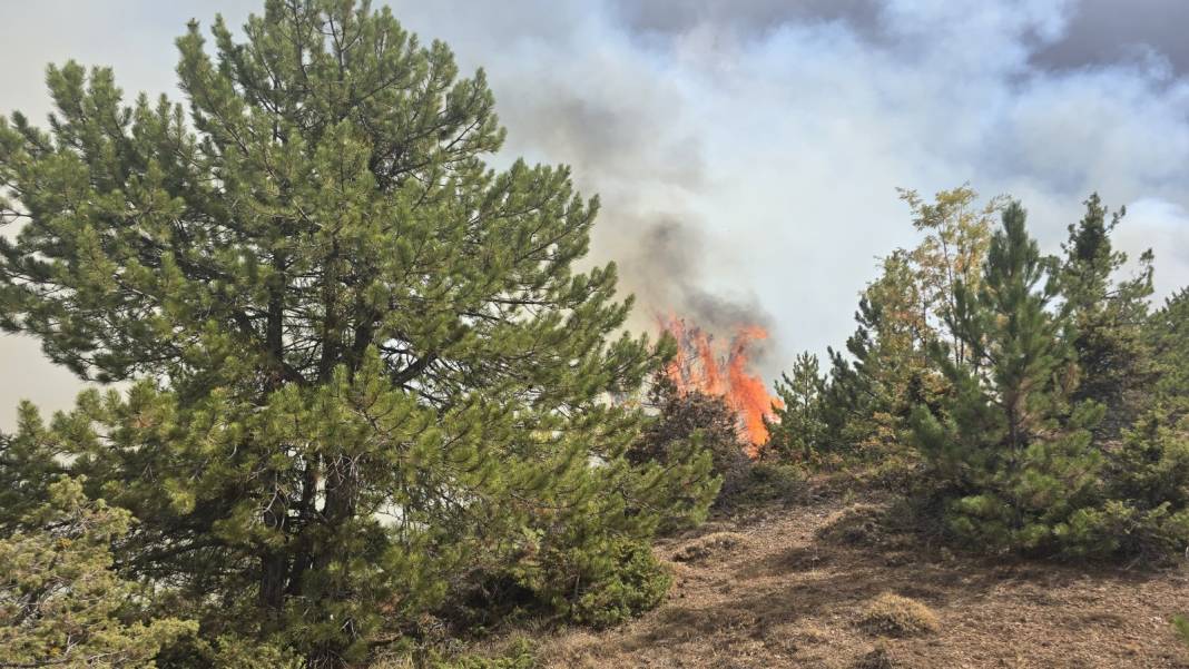 Konya Derbent’te orman yangını çıktı 1